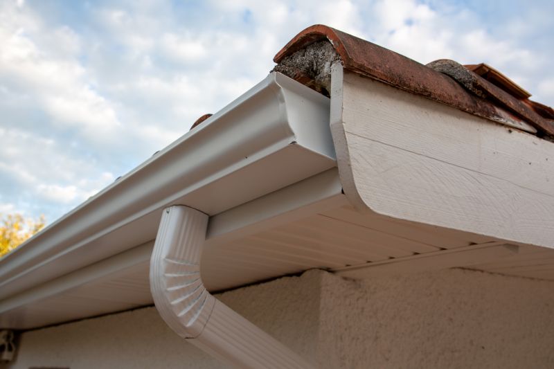 Gutter and Roof System