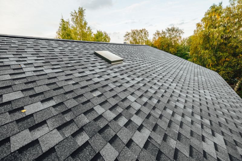 Summer Roofing Projects